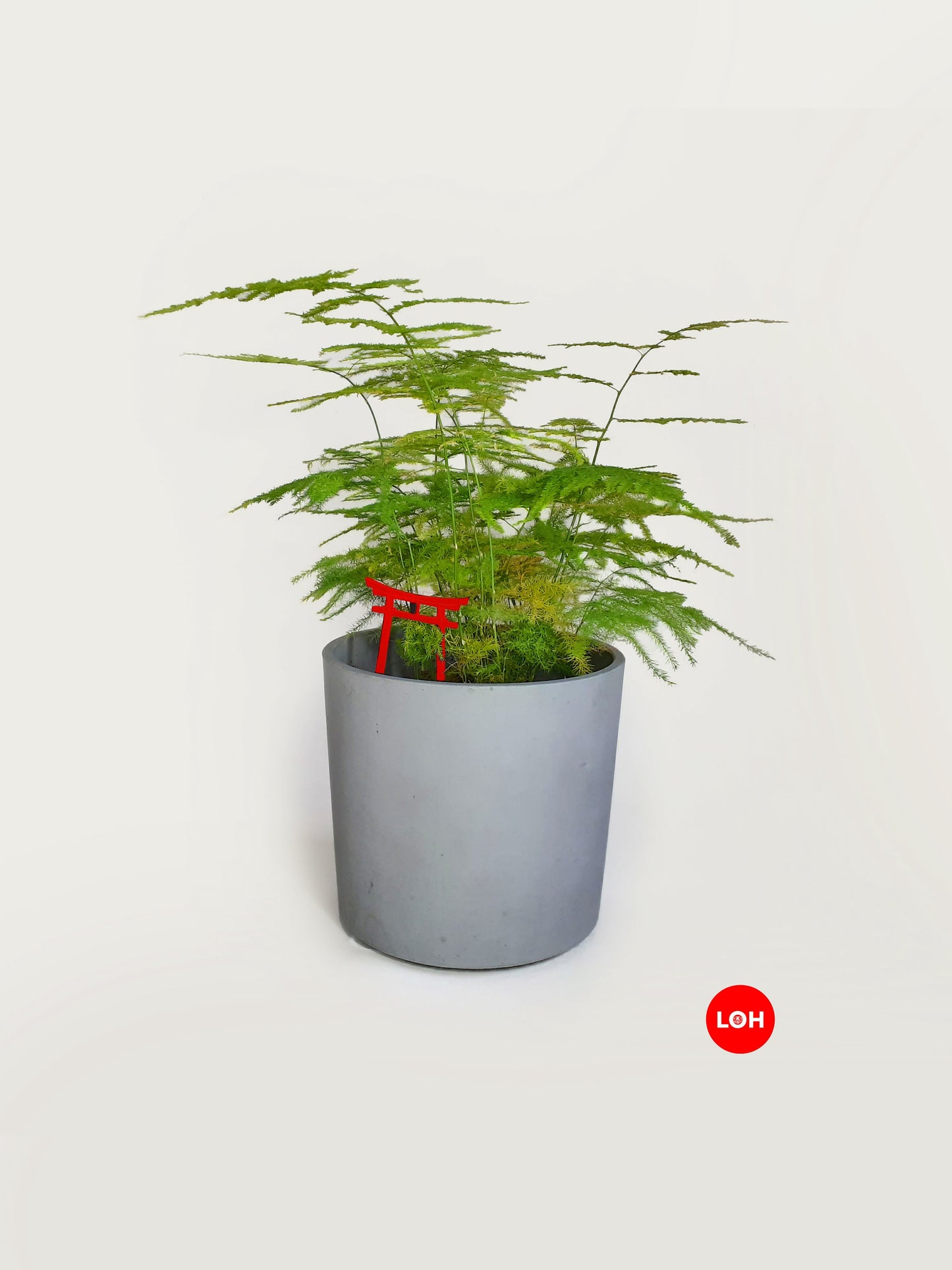 Plant Decoration Accessory • Gift Card • Torii Gate Shinto • House Plant Gifts • Pillarbox Red