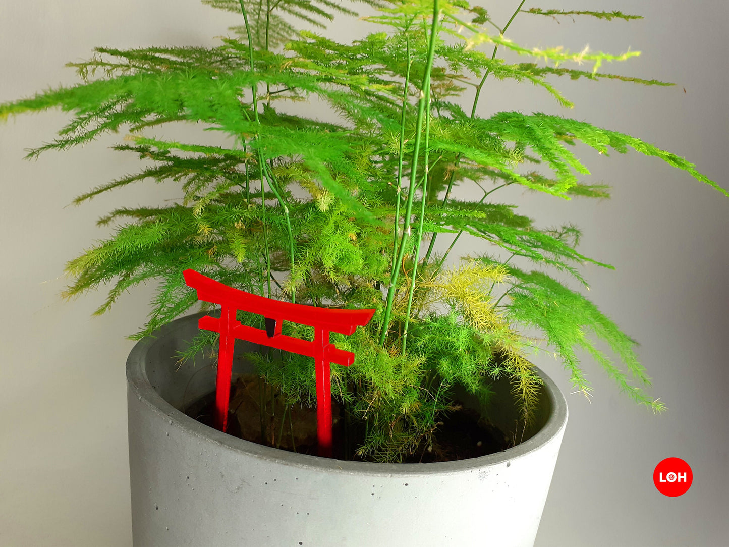Plant Decoration Accessory • Gift Card • Torii Gate Shinto • House Plant Gifts • Pillarbox Red